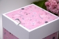 Preview: Explosionsbox Baby ca. 9x9x9cm | Geldgeschenk Geburt | Sneakers, Schuhe | Motiv: Rotkehlchen | weiß rosa | Art. Nr. 00021001