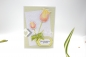 Preview: C6 Karte Geburtstag | Geburtstagskarte | Glückwunschkarte | Motiv: Tulpen | limette grün weiß | Art. Nr. 02000604