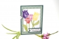 Preview: Karte Muttertag | Motiv: bunte Tulpen | meeresgrün | Art. Nr. 06000601