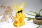 Preview: Eierhalter Hase | Gastgeschenk Ostern | Goodie Ostergeschenk | Motiv: Hase mit Sonnenbrille | gelb | Art. Nr. 07050001