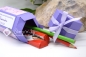 Preview: Stiftbox Einschulung Schule personalisierbar | Geschenkbox befüllbar | Geldgeschenk | Motiv: Schmetterlinge | lila | Art. Nr. 13040402