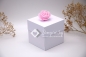 Mobile Preview: DIY Explosionsbox zum Selbstgestalten blanko UNIFARBEN ca. 7x7x7cm | Geldgeschenk | Motiv: UNIFARBEN | Art. Nr. 90029001 20 30 60 70 50